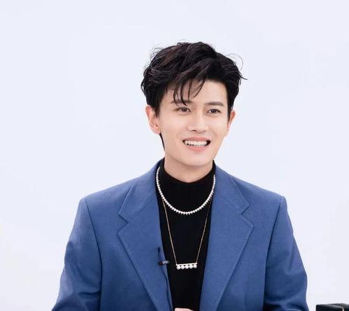 深圳姓任的明星,揭秘深圳籍任氏明星风采