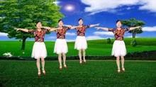 网红广场舞草原歌曲伴奏,舞动网红广场舞热潮