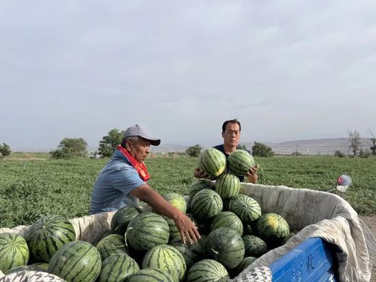 天津一中吃瓜,吃瓜群众揭秘校园热点事件