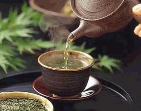 梅雪飘香的头条,探寻冬日里的诗意与温暖