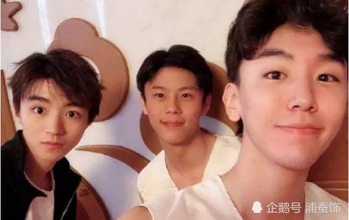 王俊凯与网红的小说,一段跨越圈层的浪漫传奇