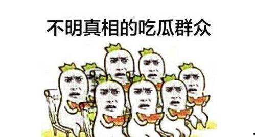 吃瓜群众坐席文案,揭秘娱乐圈幕后风云