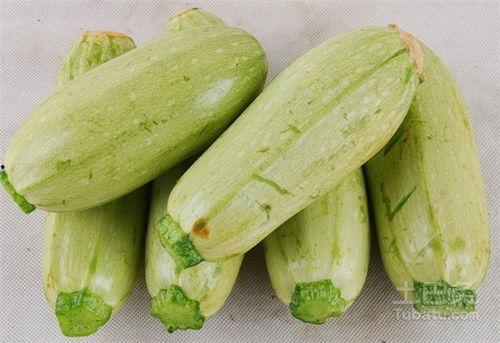 瓜生的可以吃嘛,探究可食用瓜果的奥秘