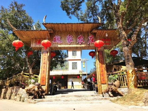 黄冈网红农庄在哪里,探寻乡村田园风光的网红打卡地