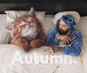 娱乐吃瓜酱给猫照相