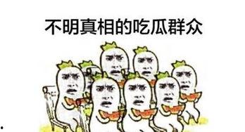 吃瓜群众 出处,吃瓜群众视角下的娱乐圈风云