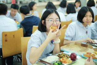 娱乐吃瓜酱实验学校,揭秘校园里的趣味八卦风云