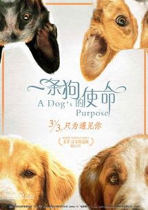 娱乐吃瓜酱去世的小狗,吃瓜酱离世，网友泪目