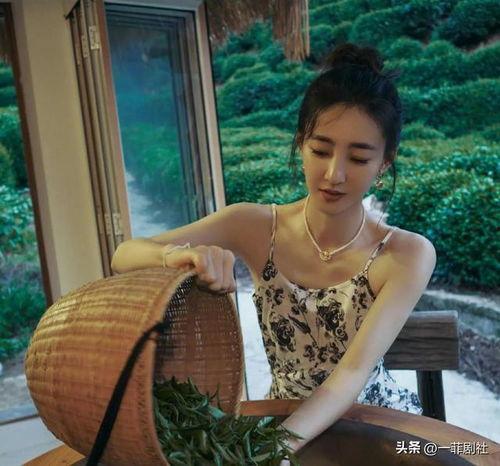 吃瓜小料娱乐圈
