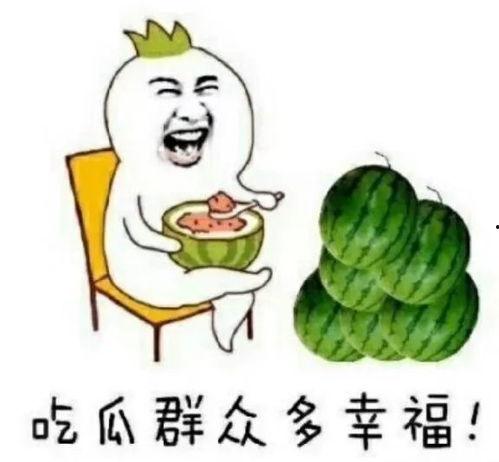 娱乐圈的瓜可以吃